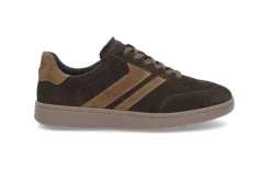 STOCKHOLM DESIGN GROUP Sneakers > Cupsole sneaker Brun
