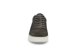 STOCKHOLM DESIGN GROUP Sneakers > Cupsole Sneaker Flerfärgad
