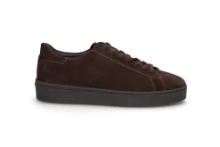 STOCKHOLM DESIGN GROUP Sneakers > Cupsole sneaker Brun