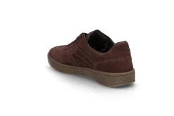STOCKHOLM DESIGN GROUP Sneakers > Eleganta sneakers Brun