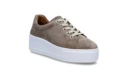 STOCKHOLM DESIGN GROUP Sneakers > Plattformssneakers Flerfärgad