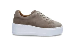 STOCKHOLM DESIGN GROUP Sneakers > Plattformssneakers Flerfärgad
