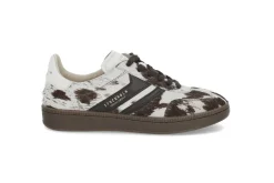STOCKHOLM DESIGN GROUP Sneakers > Sporty sneakers Brun