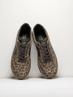 STOCKHOLM DESIGN GROUP Sneakers ><noscript><img data-lazyloaded=